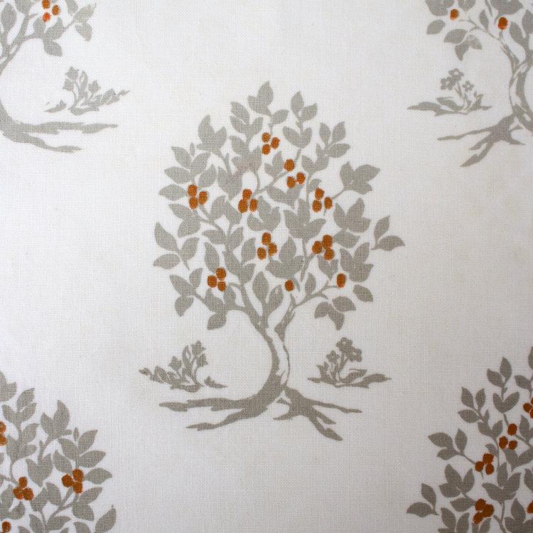 Persimmon Tree