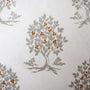 Persimmon Tree