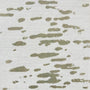 Birch