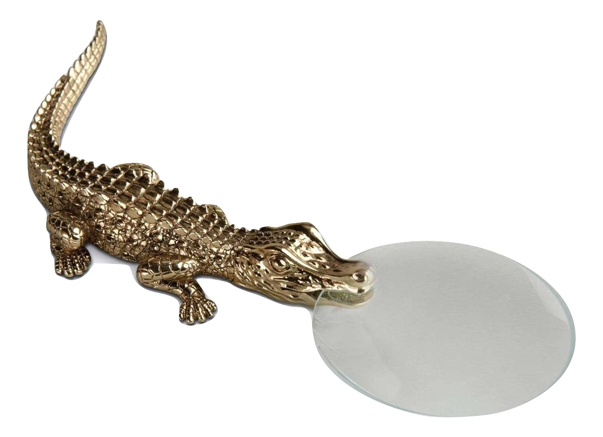 Crocodile Magnifying Glass