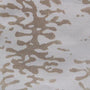 Ripple